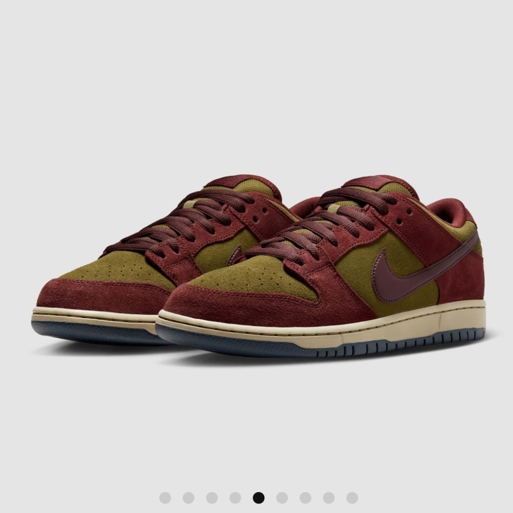 Nike SB Dunk Low Pro Skate Sneakers NEW 11.5